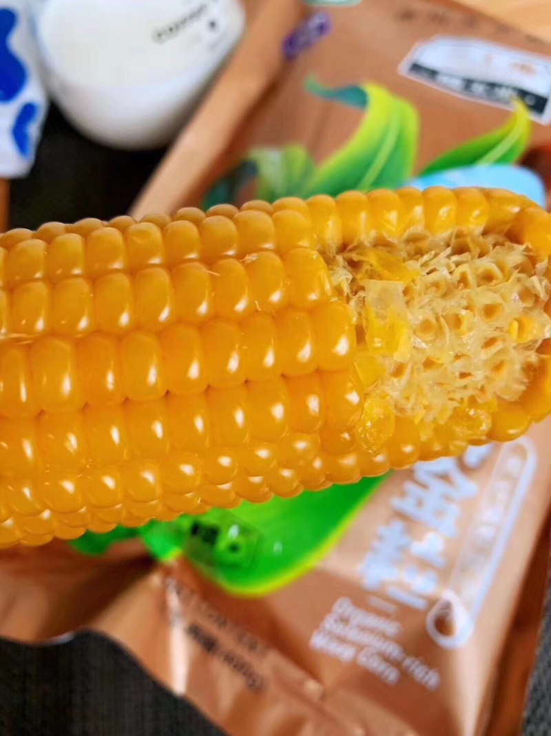 新疆糯玉米香甜玉米有机糯玉米