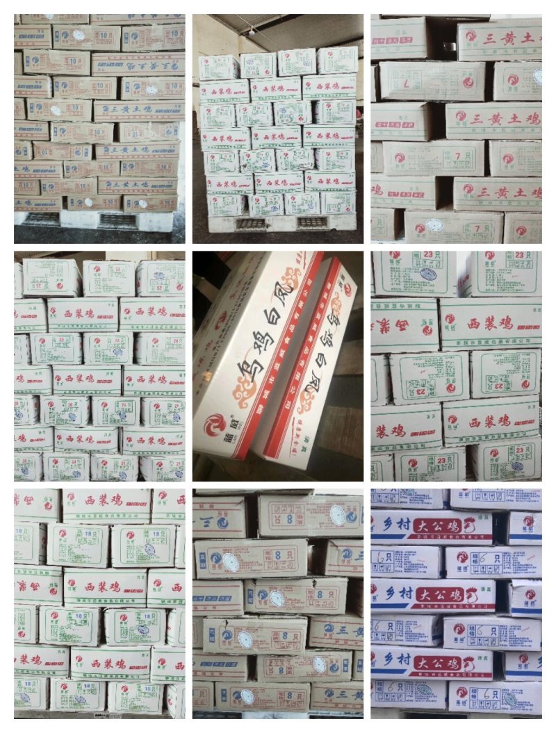 蓝威食品三黄鸡西装鸡