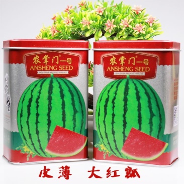 安生甜王西瓜种子农掌门一号西瓜种子皮薄大红瓤坚韧耐贮耐运