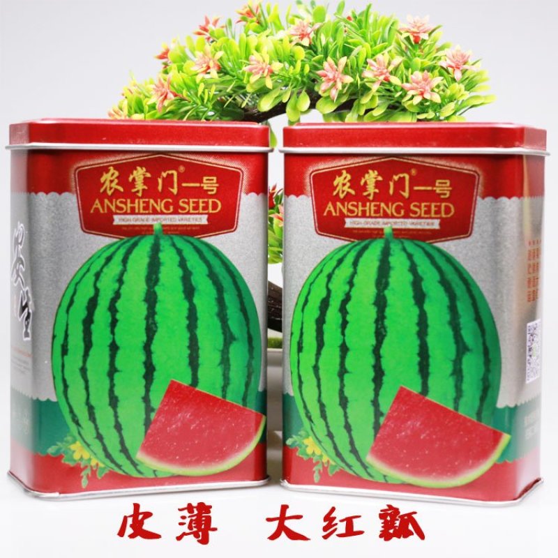 安生甜王西瓜种子农掌门一号西瓜种子皮薄大红瓤坚韧耐贮耐运
