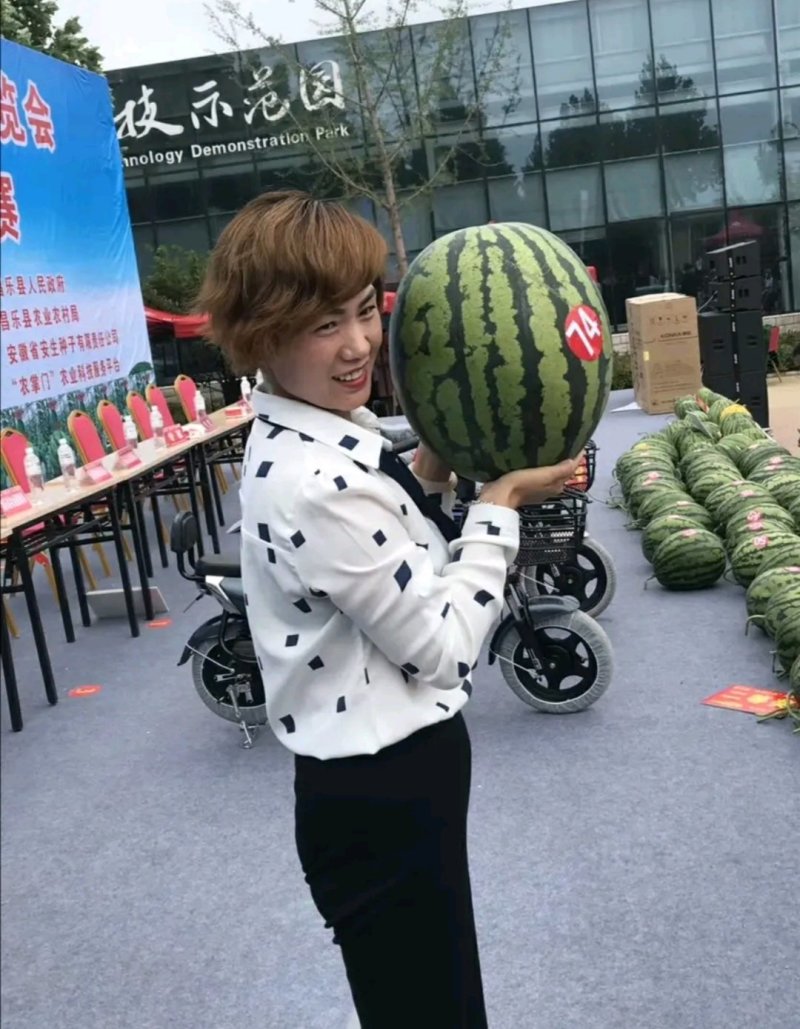 安生甜王西瓜种子农掌门一号西瓜种子皮薄大红瓤坚韧耐贮耐运