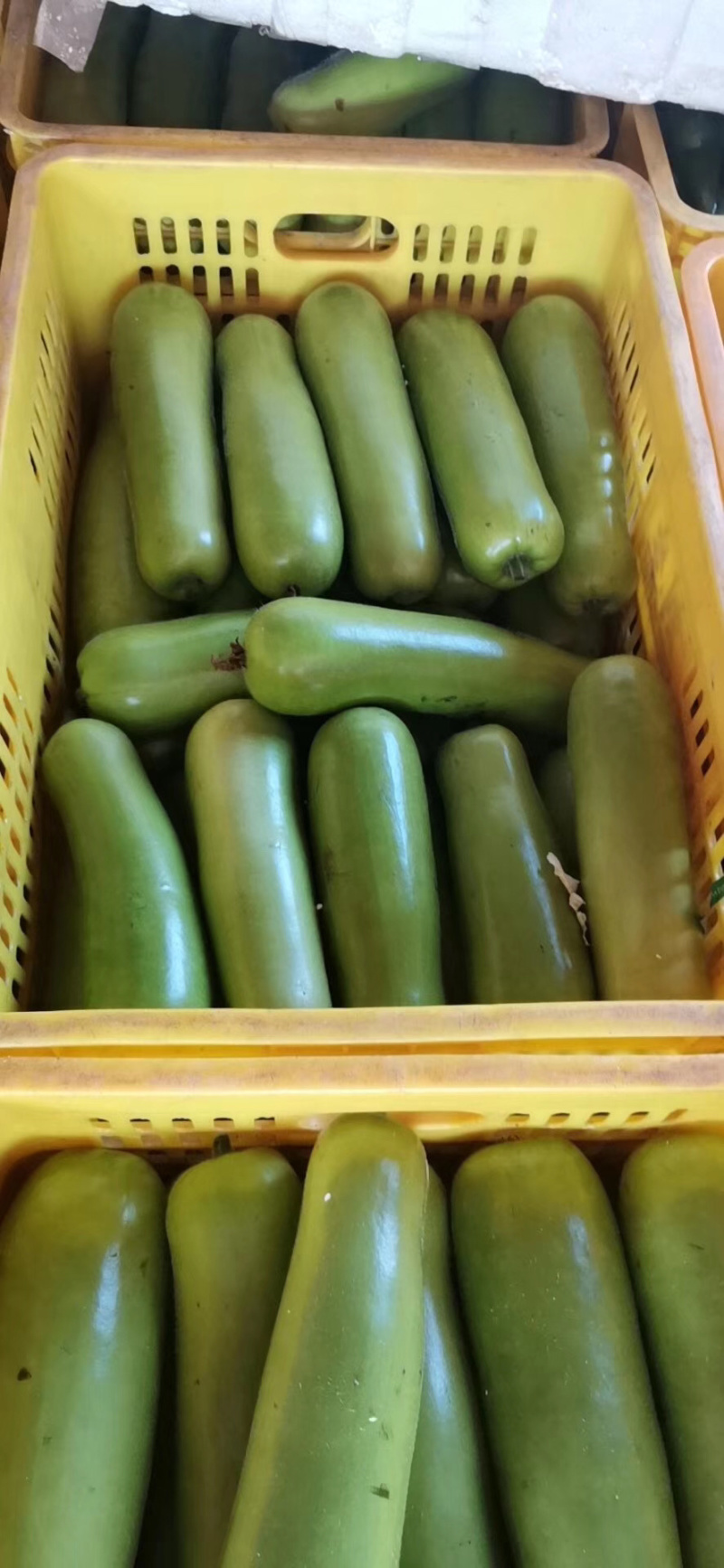 蔬菜