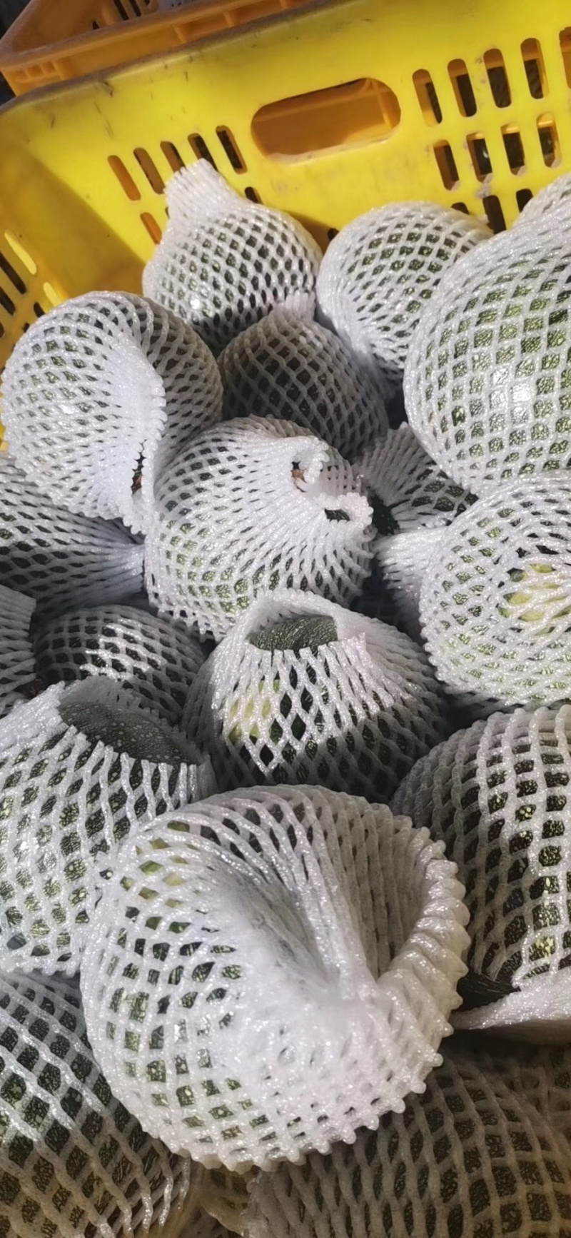 蔬菜