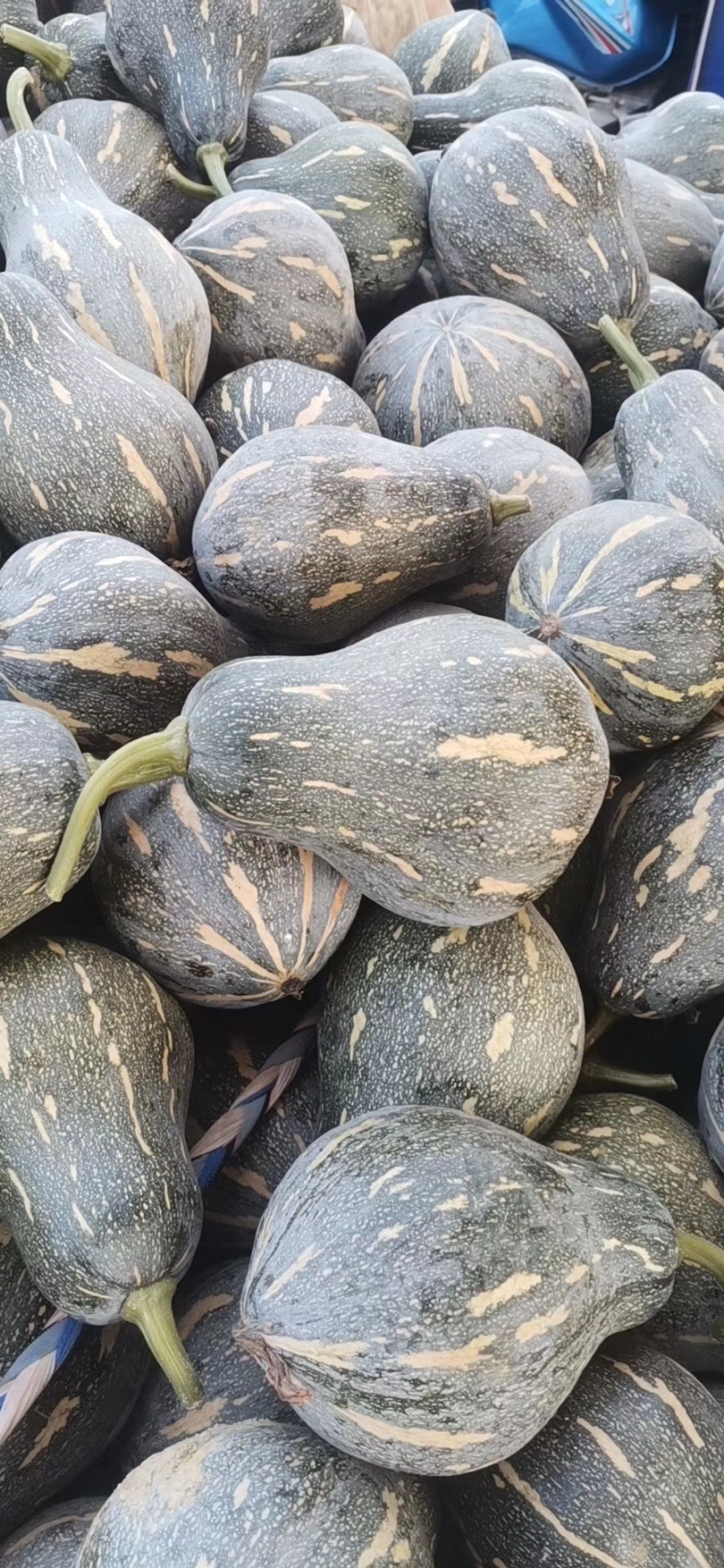 蔬菜