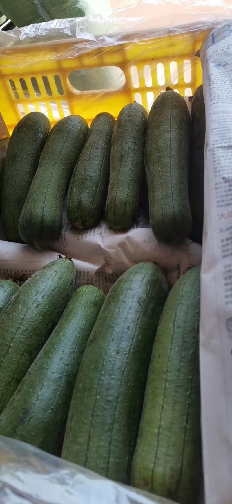蔬菜