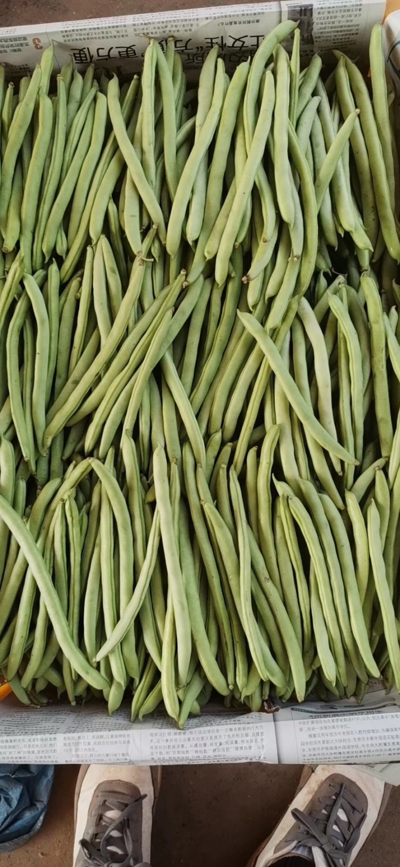 蔬菜