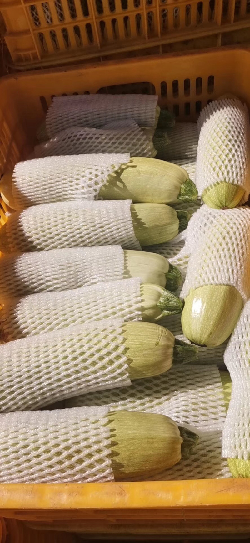 蔬菜