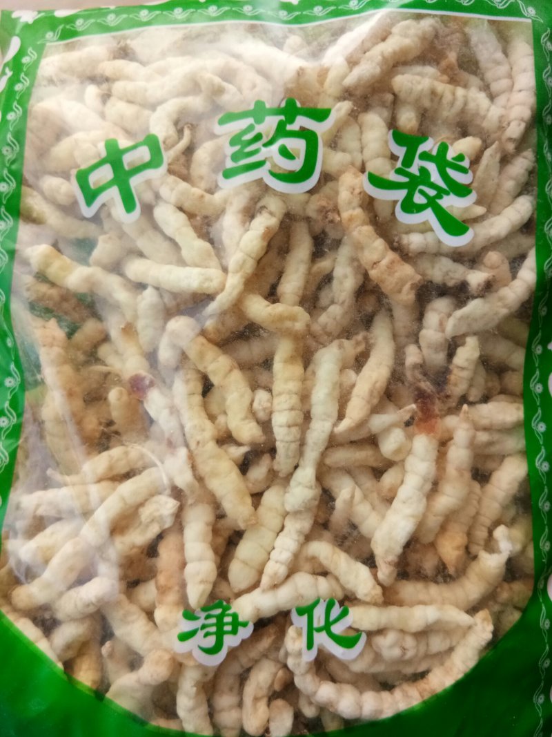 地蚕广西草石蚕无硫熏实拍图批发零售各种中药材