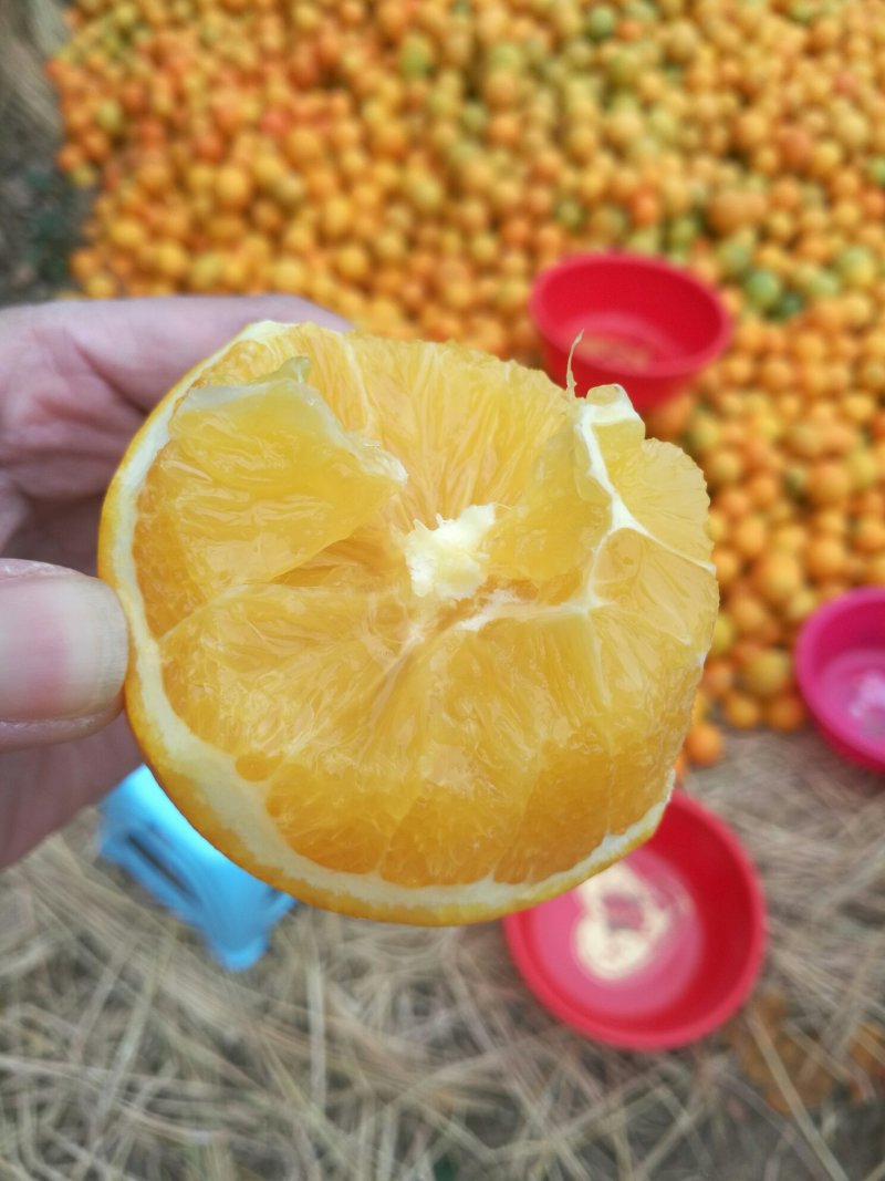 诚邀电商，江西（赣南脐橙）十斤箱可代发，批发。有量有价