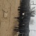 德州驴包活包健康可以线上交易更安全