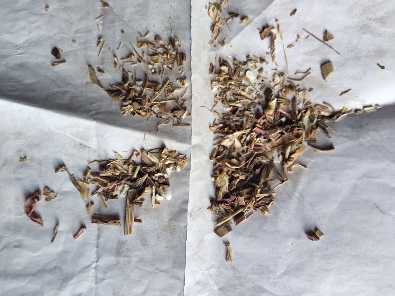 白芷沫子批发零售品种齐全诚信经营量大从优支持混批