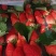甜宝降价了收购了一天