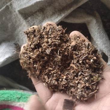 厚朴沫子不含运费品种齐全量大从优诚信经营
