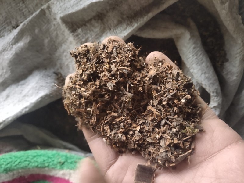 厚朴沫子不含运费品种齐全量大从优诚信经营