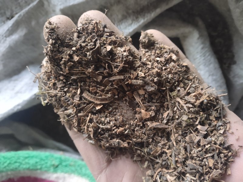 厚朴沫子不含运费品种齐全量大从优诚信经营