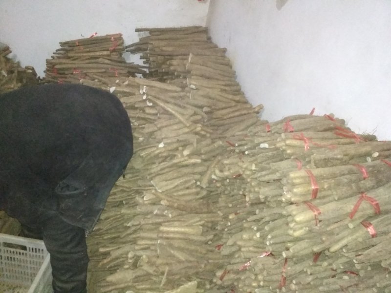 山药，大脚牙可以当种用量大优惠，欢迎各地采购商过来选购