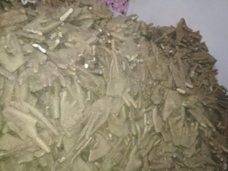 山药，大脚牙可以当种用量大优惠，欢迎各地采购商过来选购