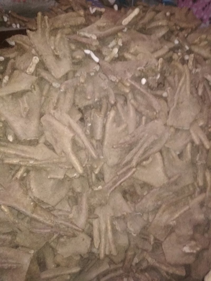 山药，大脚牙可以当种用量大优惠，欢迎各地采购商过来选购