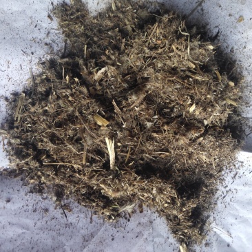 白头翁沫子不含运费品种齐全量大从优