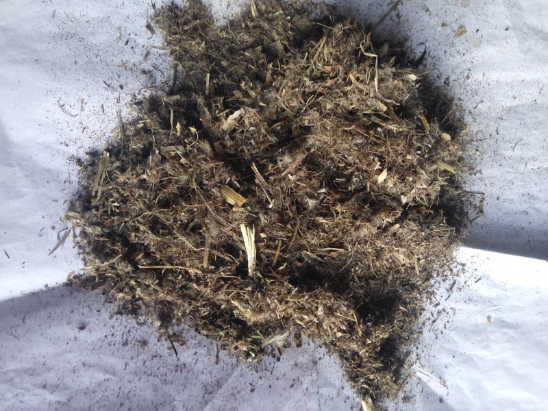 白头翁沫子不含运费品种齐全量大从优