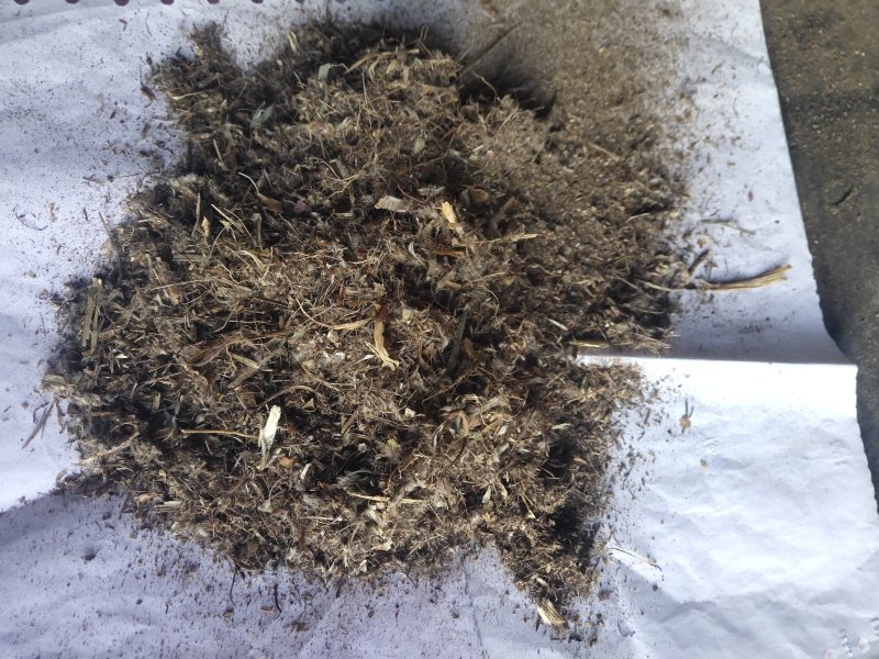 白头翁沫子不含运费品种齐全量大从优