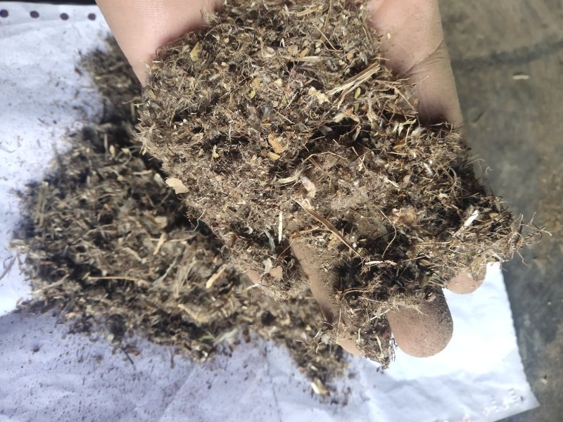 白头翁沫子不含运费品种齐全量大从优