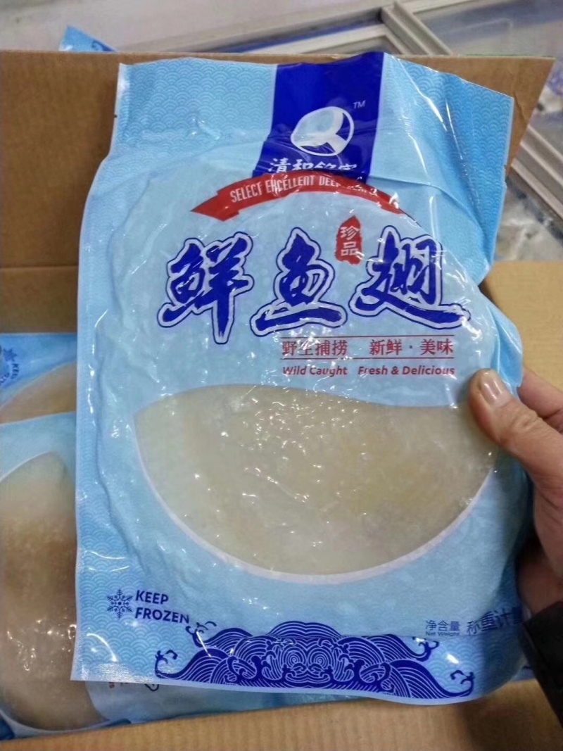 鲜鱼翅