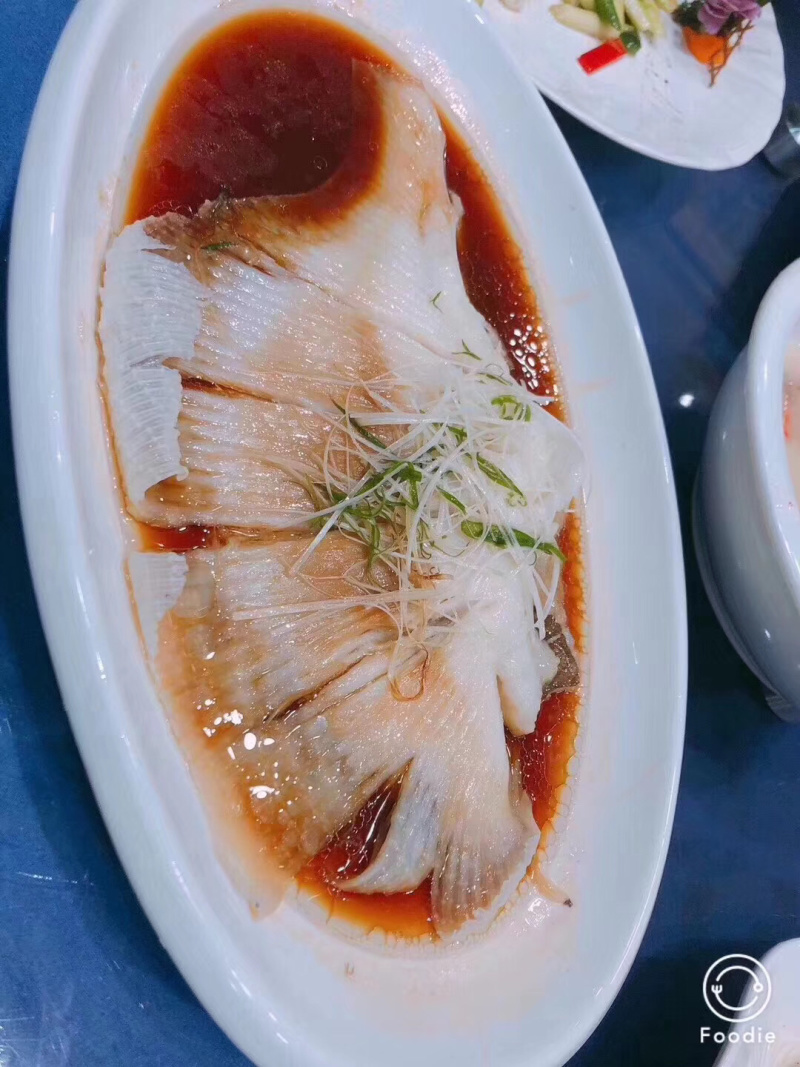 鲜鱼翅