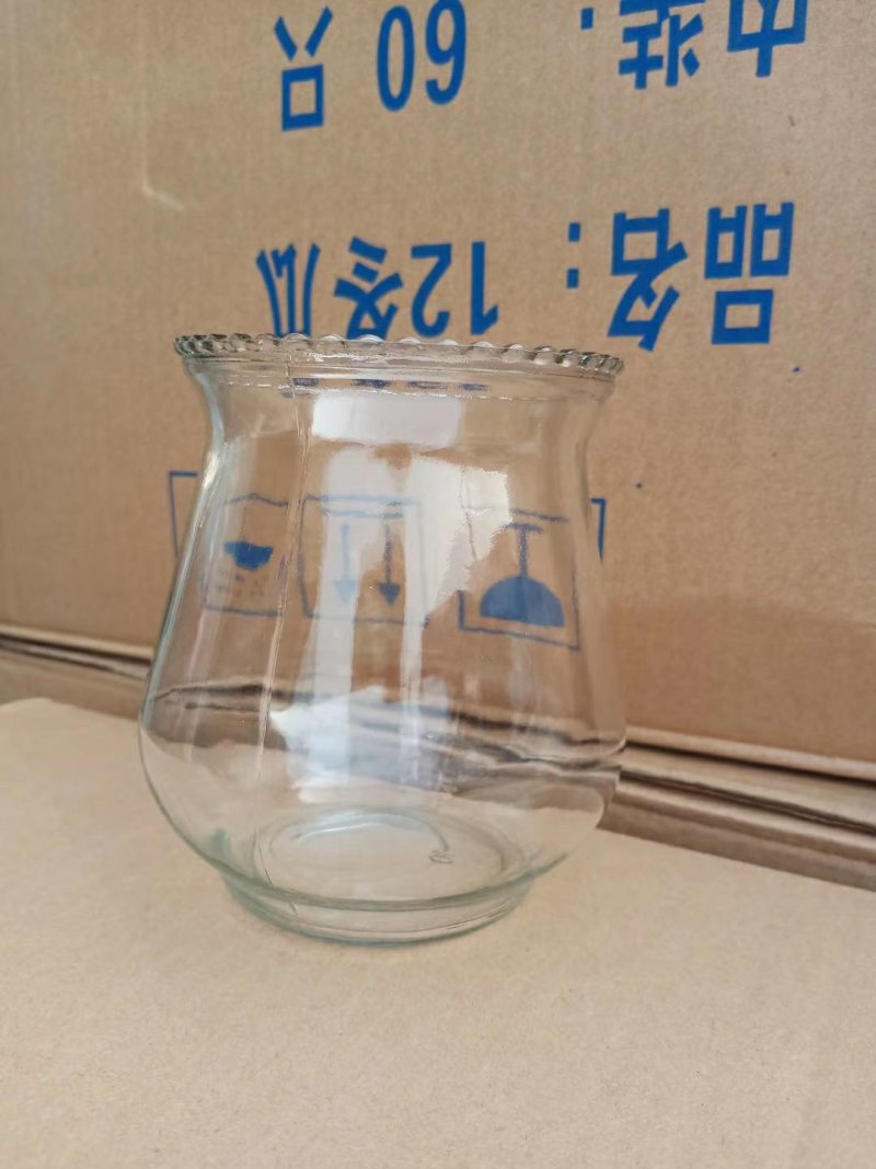 水培观音竹花瓶椭圆形花瓶