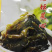 老坛酸菜芯