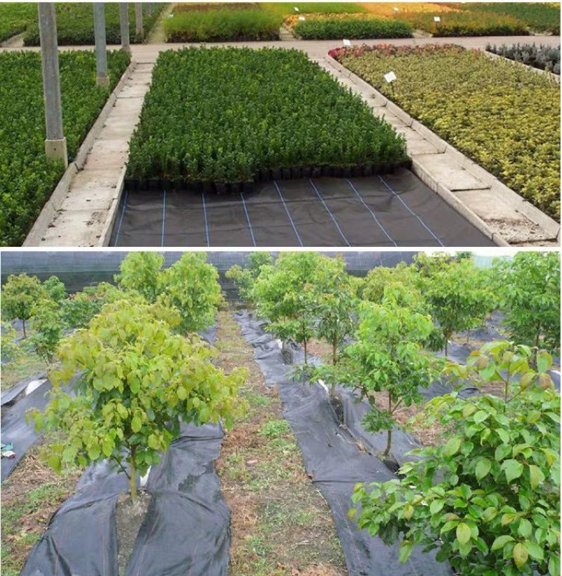 除草布抗老化大棚果园透气保湿除草布全新料园艺防草布