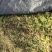 除草布抗老化大棚果园透气保湿除草布全新料园艺防草布