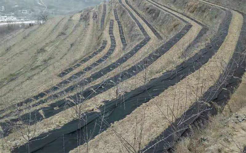 除草布抗老化大棚果园透气保湿除草布全新料园艺防草布