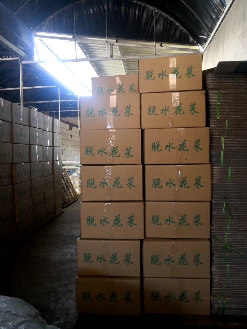2024年精品脱水花菜干低糖无添加青杆花菜干