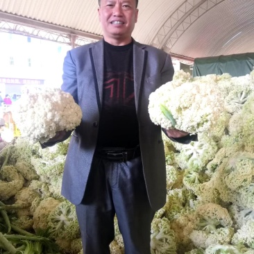 2024年精品脱水花菜干低糖无添加青杆花菜干