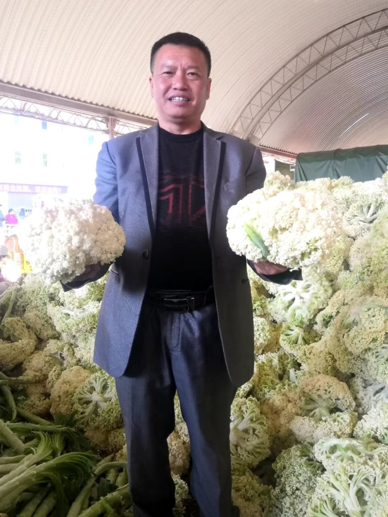 2024年精品脱水花菜干低糖无添加青杆花菜干
