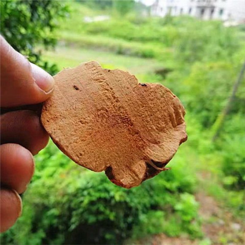 正品土茯苓片野生无硫土茯苓全干货可供大货量大从优