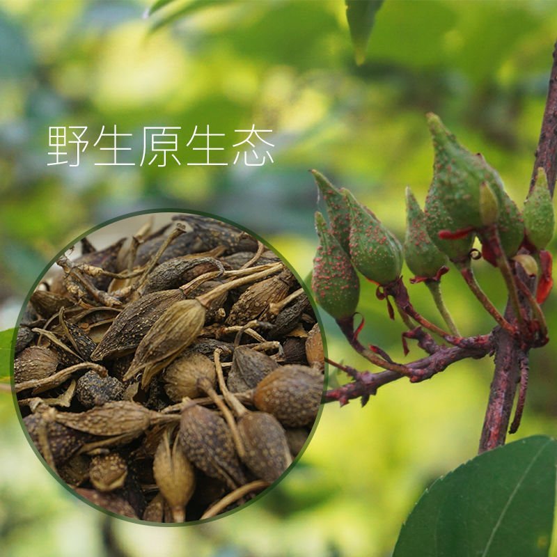 ✨热销✨野生连翘干货货量充足产地直发大量低价出售