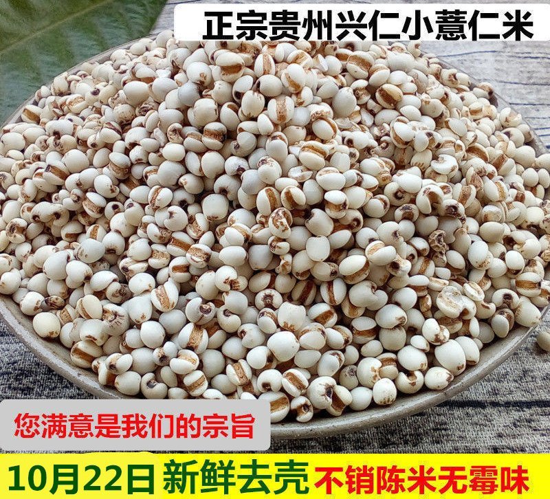 ✨热销✨薏米仁大薏米小薏米贵州薏米正品无硫
