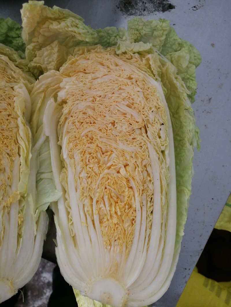 大白菜