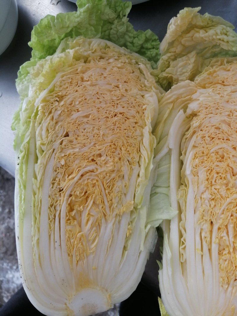大白菜