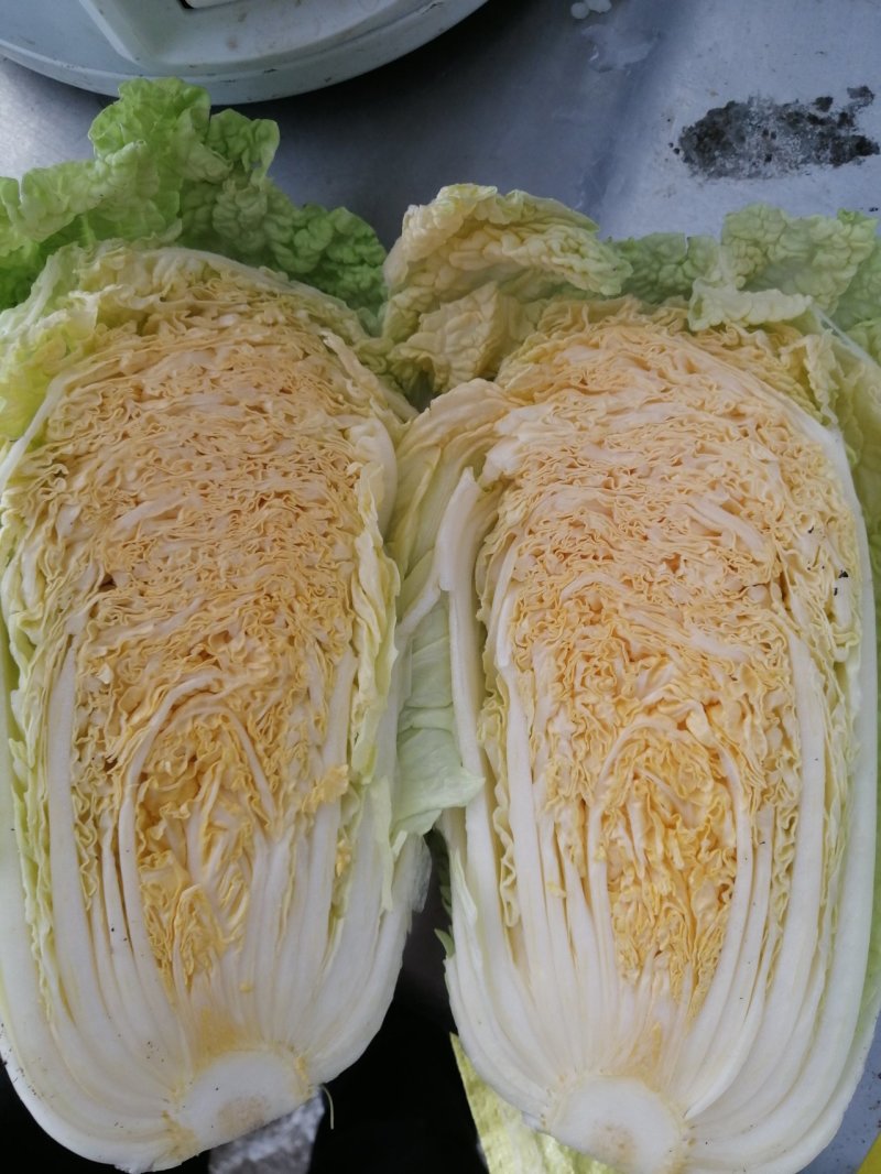 大白菜