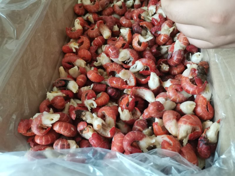 特级龙虾尾大量现货