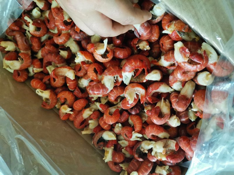 特级龙虾尾大量现货
