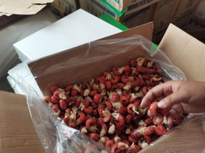 特级龙虾尾大量现货