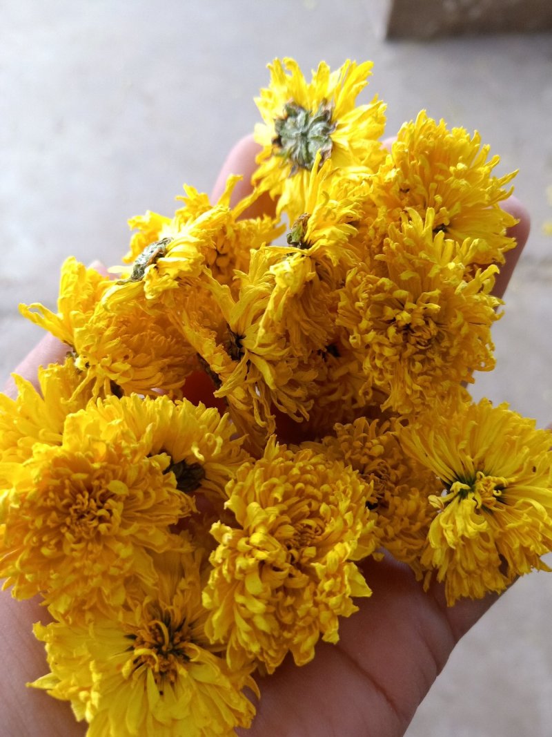 金丝菊，婺源黄，大板菊，雪菊。等菊花茶