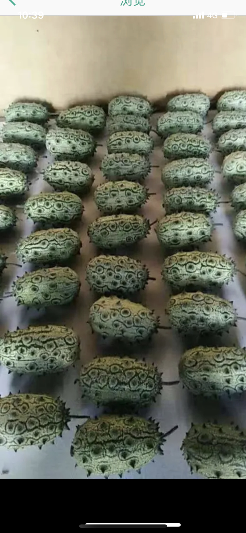 火参果