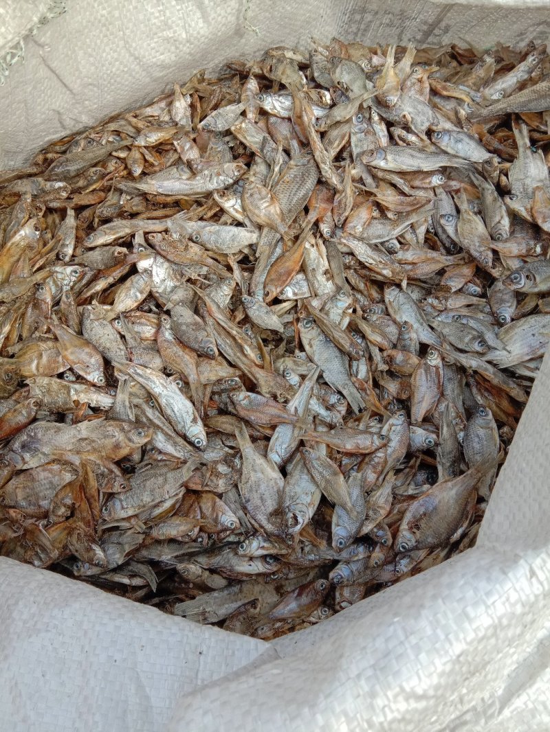 饲料小鱼干动物饲料鱼宠物粮小鱼干养殖场饲料小鱼干