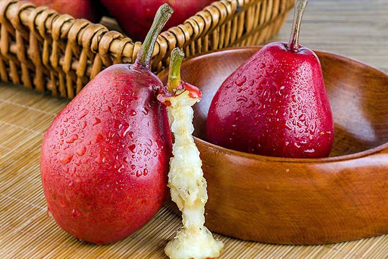 不同梨类品种对比