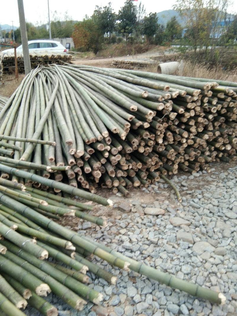 大棚竹竿，红壳竹，淡竹，各种规格竹竿